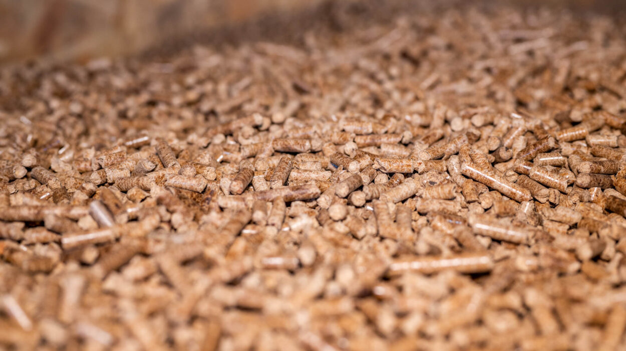 drveni peleti cover basici doo